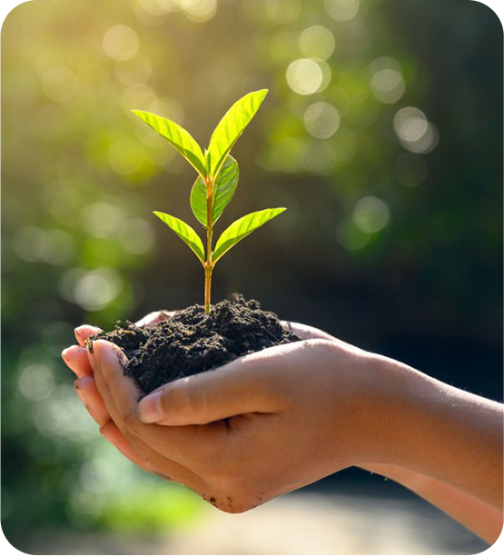 Environmental & Energy Permitting